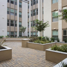 a courtyard with trees and plants